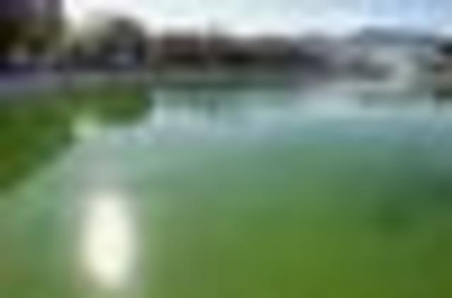 conferencia internacional