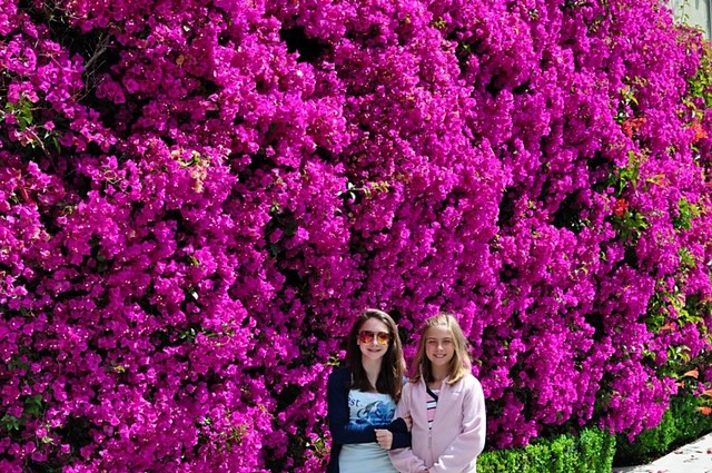 My Fifth Grade Graduation