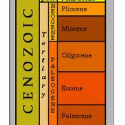 Timeline: Cenozoic Period