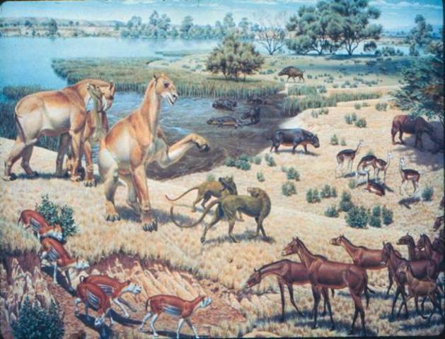 Cenozoic Era timeline | Timetoast timelines