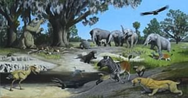 Pliocene Epoch