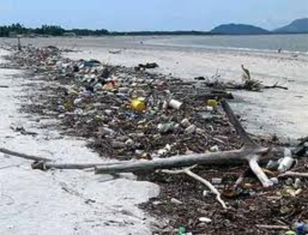 Hypodermics On the the Shore