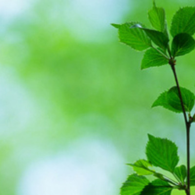 Timeline: Environmental Protection in the US