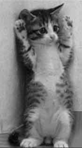 Franco-Prussian War concludes with capitulation of French Second Empire.