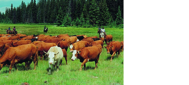 Tim goes to Verplanks point will his father.