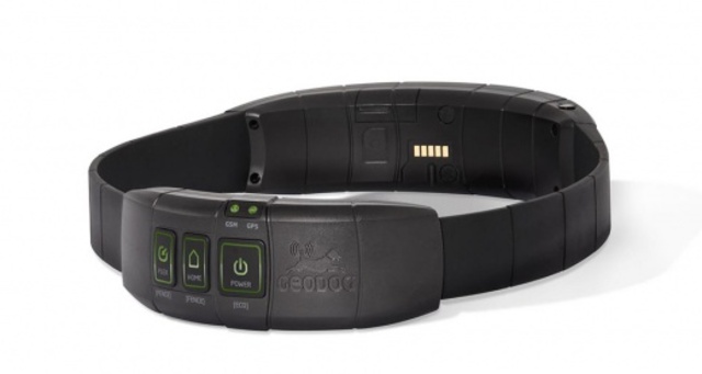 Localizador De Perros Perdidos