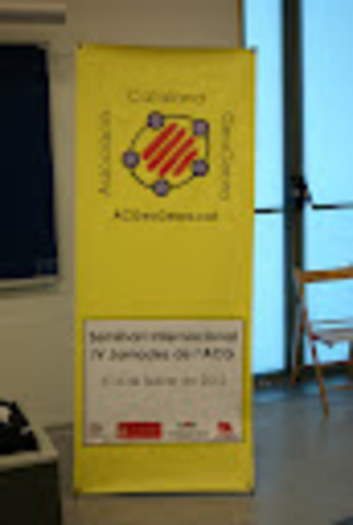 IV Seminari Internacional