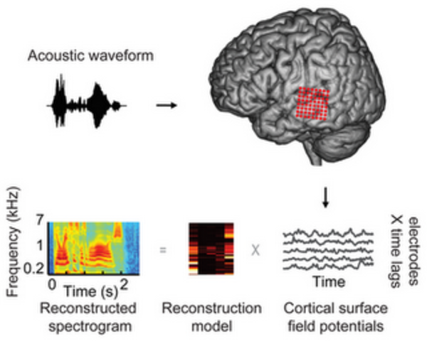 Convertir pensamientos en palabras