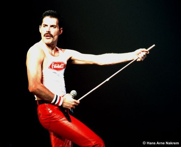 Freddie Mercury mor víctima de la sida.