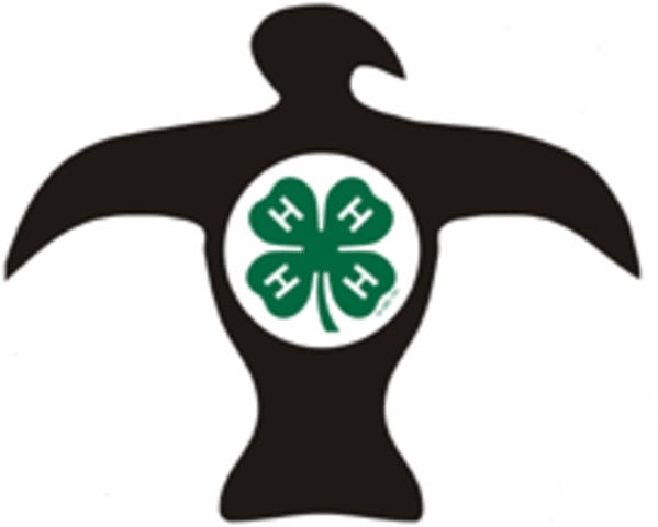 Programmer for GA 4H "Rock Eagle"