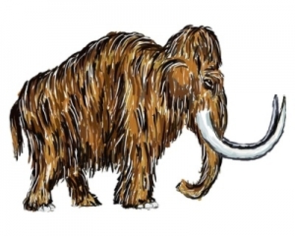 Mammoths Evolved (1.8mya)