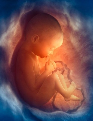 All Parts of my Brain are formed (Cognitive)