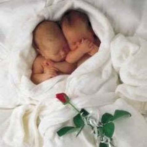 Llegamos al mundo. Se producen nuestros nacimientos