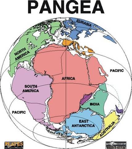Pangea Broke into Continents (65mya)