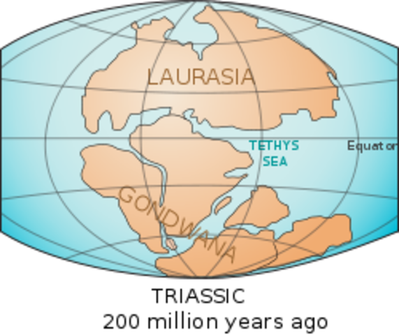 Arabia collided w/ Eurasia creating the Tethys Ocean (35 mya)