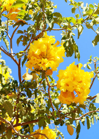 Video de la Universidad del Norte