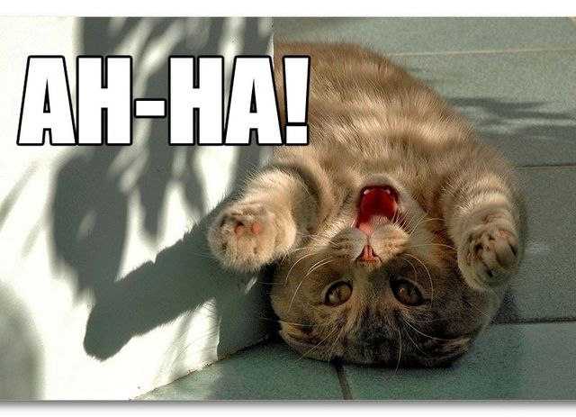 She comes up with the brilliant idea of Harry Potter