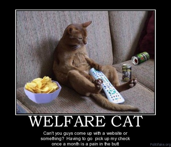 Welfare