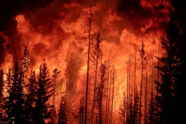 Healthy Forests Initiatve