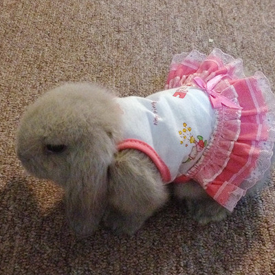 Timeline: Sociological Imagination