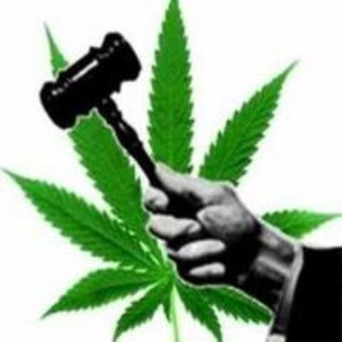 Colorado oversight on dispensaries