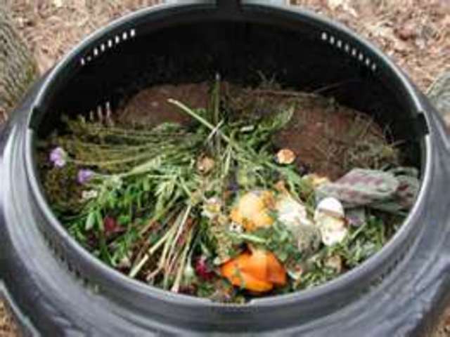 Compost dead plants
