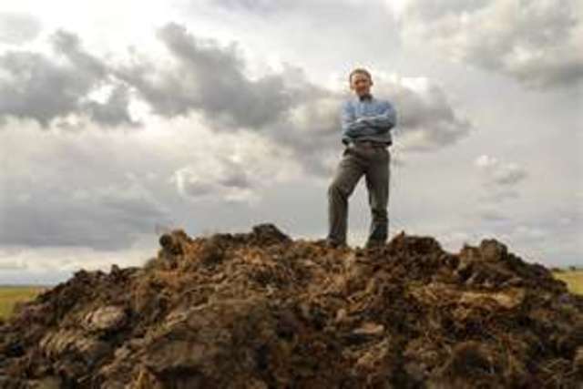 Heavy Fertilizer Cow Manure and Till into the ground