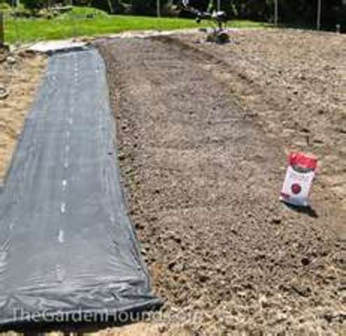 Cover garden with tarp for winter to prevent spring weeds