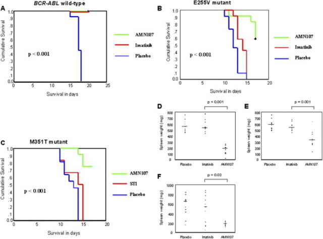 Nilotinib, a selective inhibitor of native and mutant Bcr-Abl