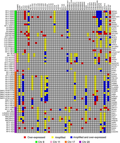 A panel of cell lines models functional breast cancer subtypes
