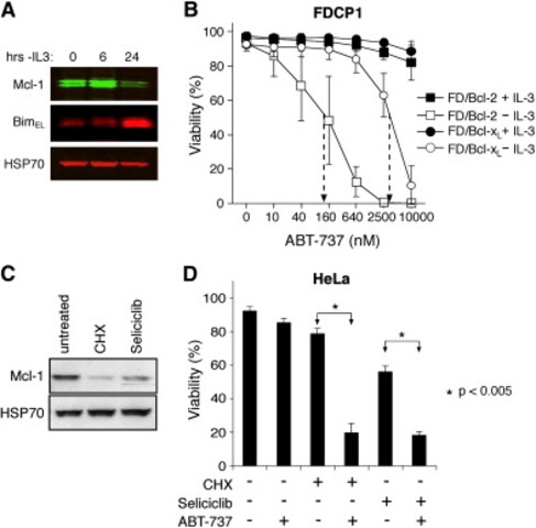 ABT-737 efficiently induces apoptosis if Mcl-1 is neutralized