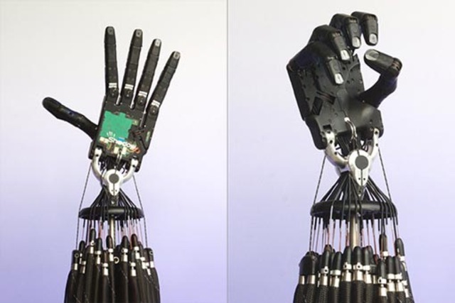 Mechanical Hand