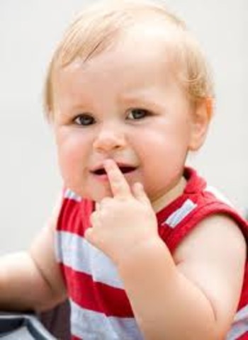 ETAPA DE LAS PALABRAS AISLADAS. 1 AÑO