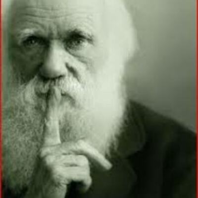 Timeline: Calendario CMC 3ª Evaluación