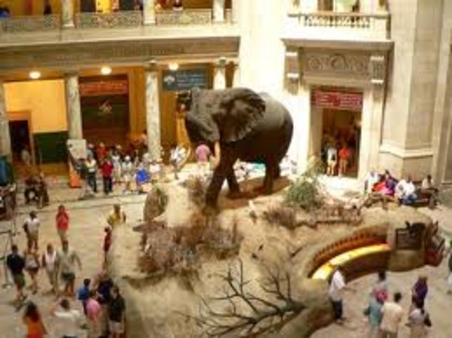 washington national museum