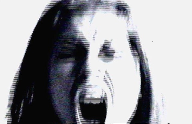 Video instalación "La paraula captiva"