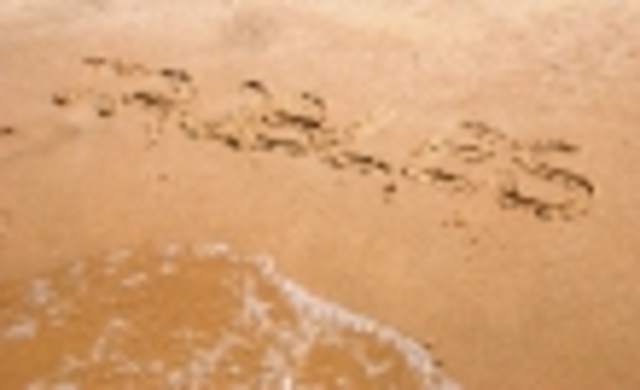 Nyla writing rude things in sand