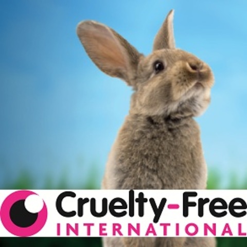 Britian Outlawed Cosmetic Testing
