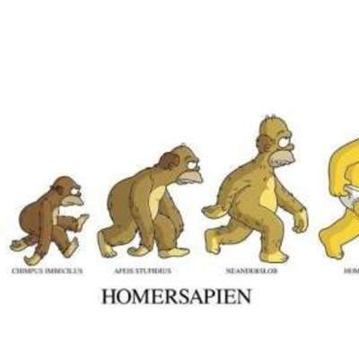 Timeline: Teoria de la Evolución