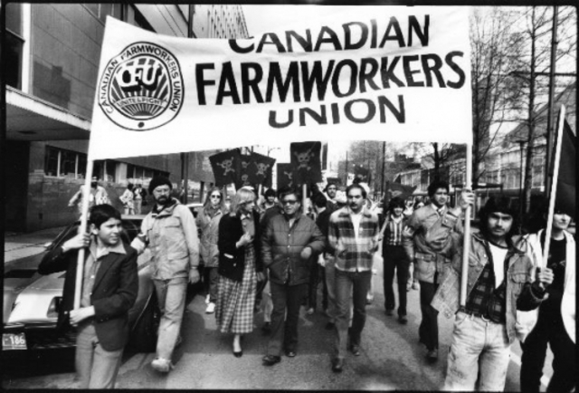 United Farmers of Canada