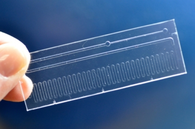 Microfluidic Chip