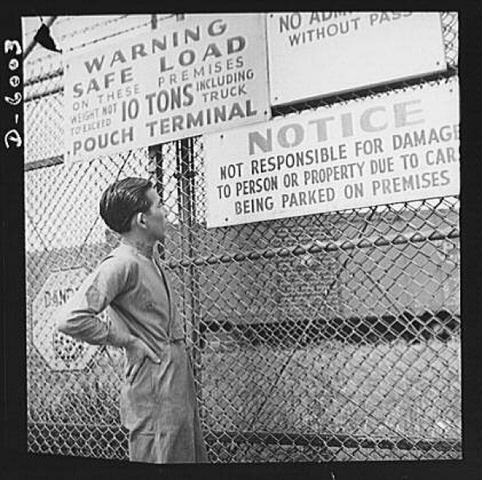 First Chinese in America