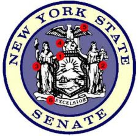 Elected for New York Senator