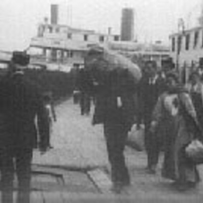 Timeline: Martin English Immigration Tyler Beth Avery Evan Cole