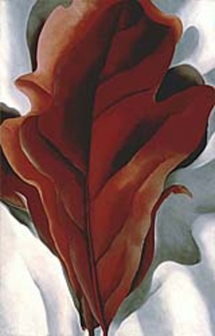 Lage Dark Red Leaves on White