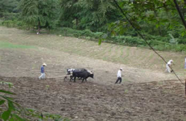 DISTRIBUCION DE LA TIERRA
