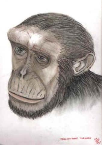 23 миллиона лет назад