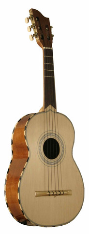 The Vihuela
