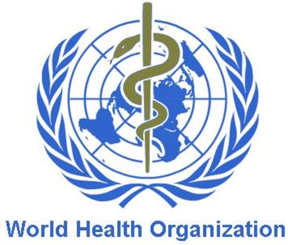 The World Health Organization (WHO) outlines its new global laboratory proposal, aimed at improving the range, speed and quality of influenza virus surveillance