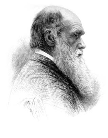 Social Darwinism: Misunderstood from Its Inception